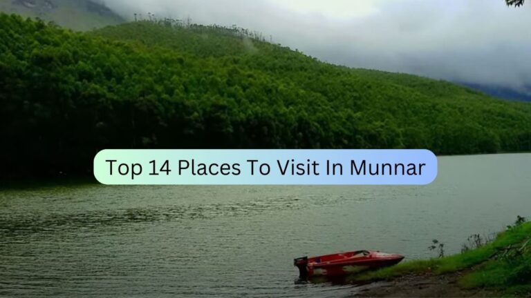 Places To Visit In Munnar