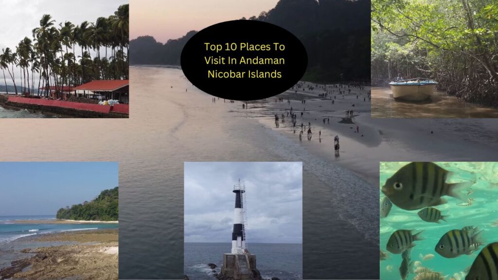 Places to Visit in Andaman Nicobar Islands