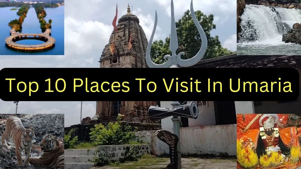 Places to Visit in Umaria